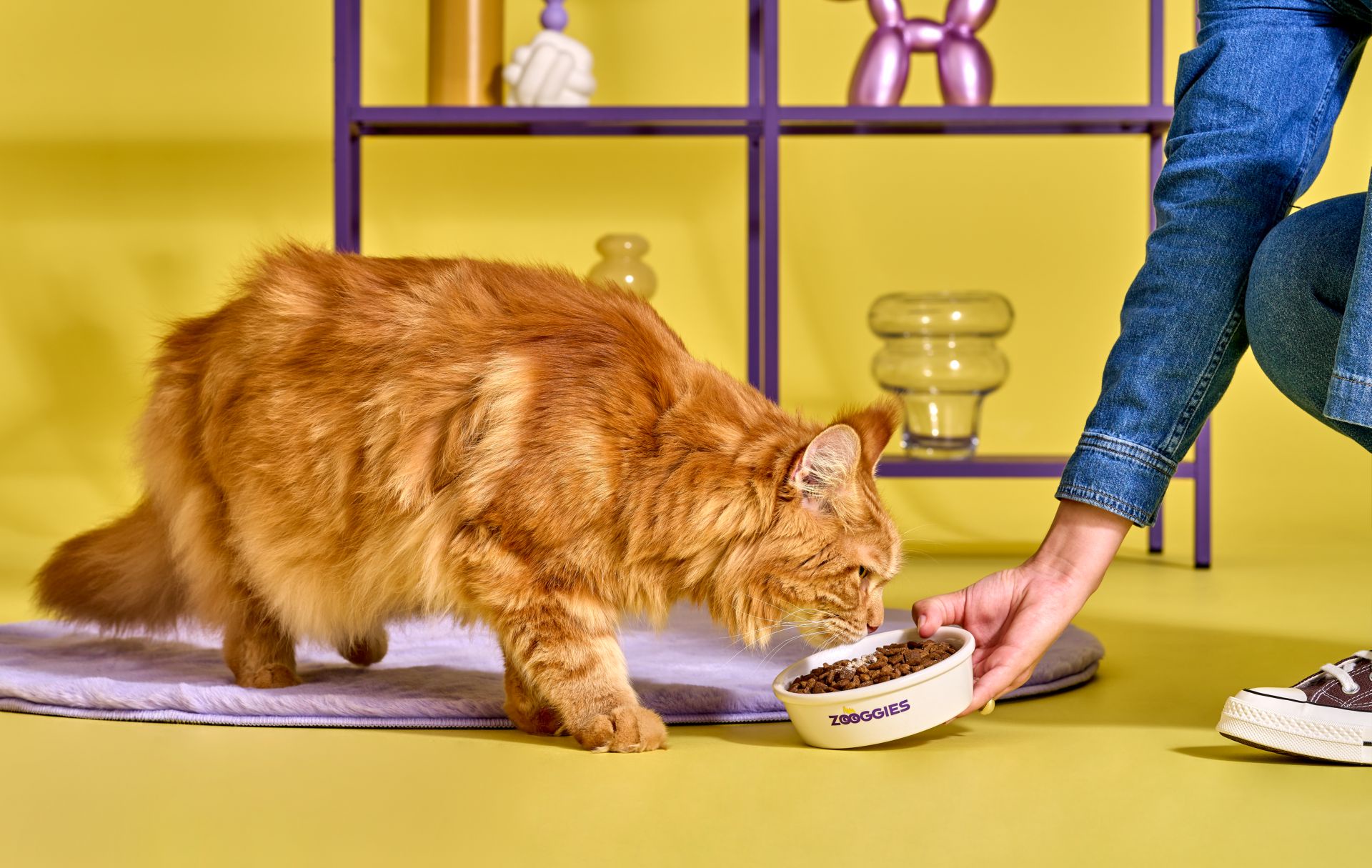 Jak naturalne suplementy mogą wspierać zdrowie i witalność twojego zwierzaka?